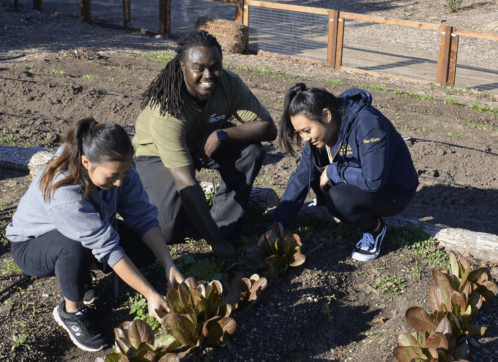 Screenshot 2025-06-05 at 2.15.59 PM